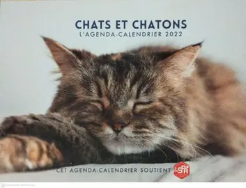 Calendrier Chat