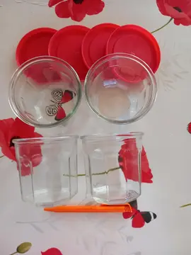 bocaux + couvercles en plastique