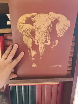 Collection livres les animaux