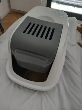 Litière pour chat