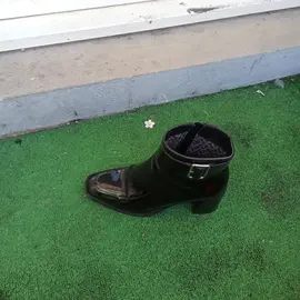 chaussures