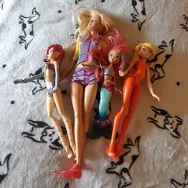 Lot de barbies