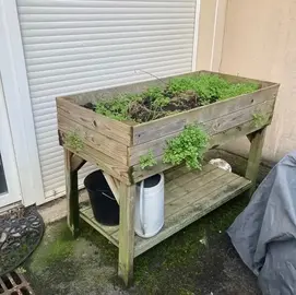jardinière