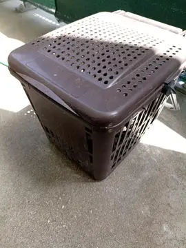 poubelle compost