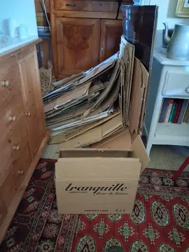 carton