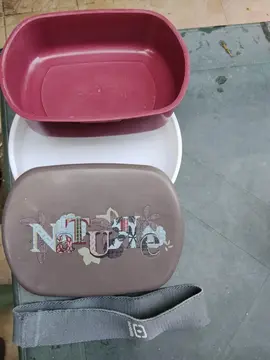 boite déjeuner ( box lunch)