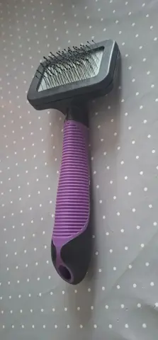 brosse chat