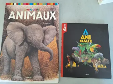 Livres animaux pour enfants
