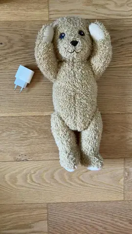Nounours