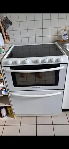 TRIPLEX 10 V ( VITROCERAMIQUE, FOUR, LAVE VAISSELLE