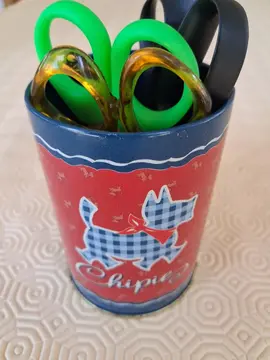 donne pot à crayons + 4 paires de ciseaux( pour enfants )