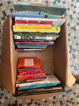 Deux cartons livres pour enfants. Âges divers