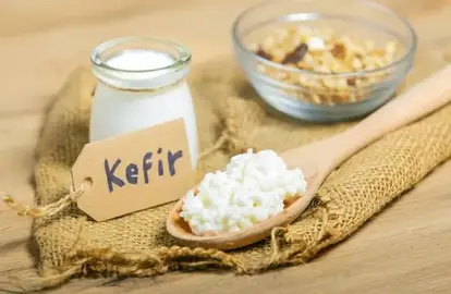 Graine de Kéfir