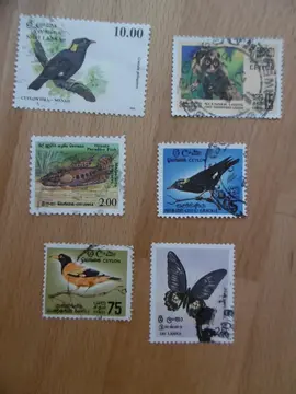 Timbres CEYLAN LOT 3
