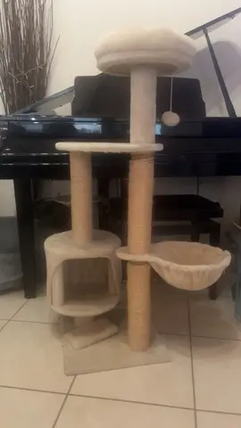 Arbre à chat