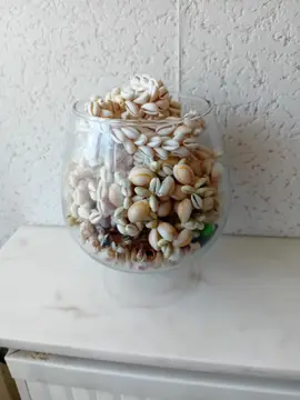 colliers en coquillages
