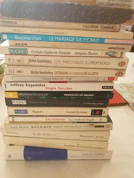 lot de livres