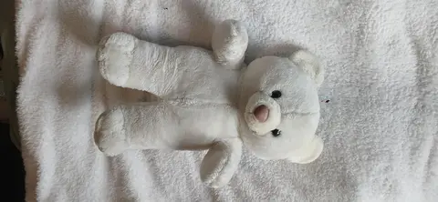 grosse peluche ours