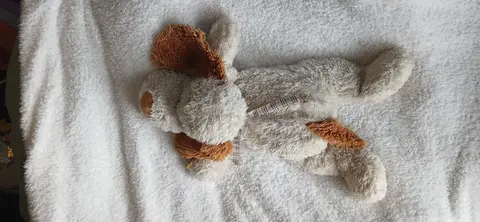 grosse peluche chien