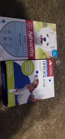 pipette anti puce pour chien
