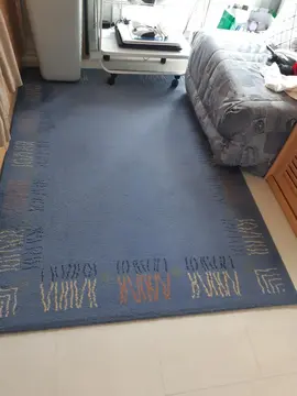 Tapis bleu 1,20 m x 1,70 m