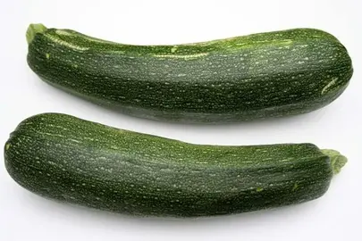 plants de courgette