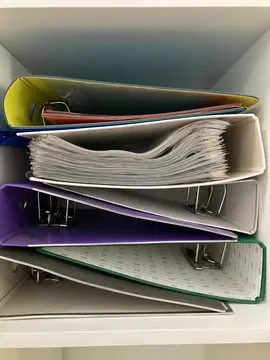 Donne divers gros classeurs avec pochettes plastiques