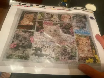 puzzle chats