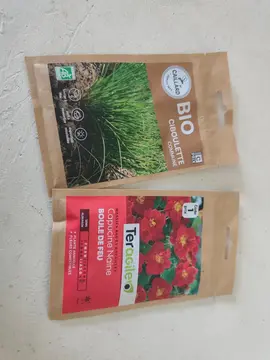 graines à planter