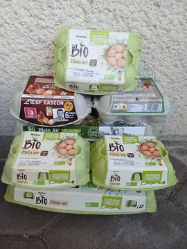 Lots Boîtes à oeufs