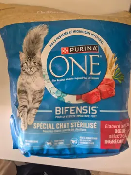 croquettes chat neuf