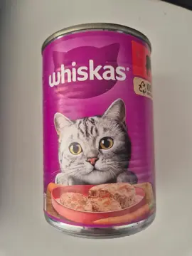 pâté pour chat neuf