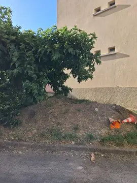 Terre à donner - 5 m³
