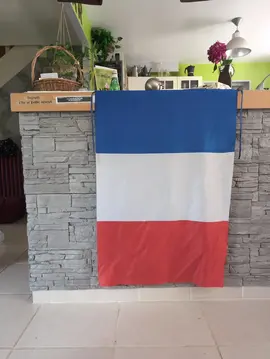 drapeau de la France