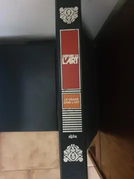 encyclopédie histoire de l'art 11 volumes