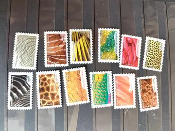 série couleurs animaux