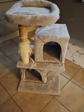 arbre a chat