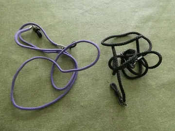 Lot de 2 cordons à lunette