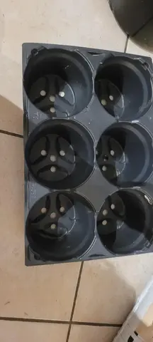 pot pour semis