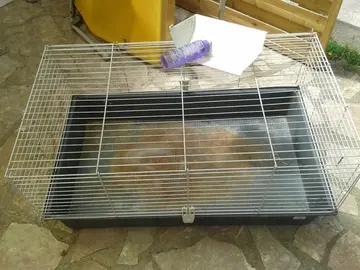 Cage pour rongeur