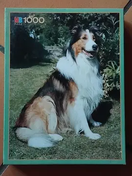Puzzle 1000 pièces