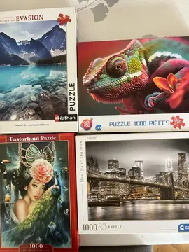 4 puzzles 1000 pièces