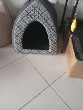 Tente pour chat