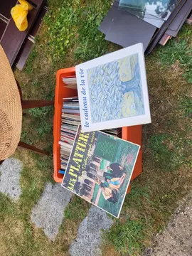 vinyls 33"