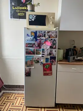 frigo