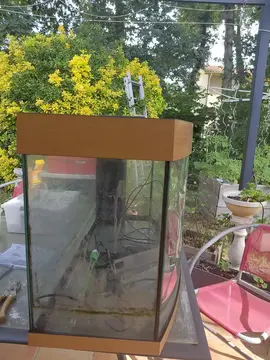 aquarium juwel