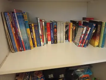 Lot de livres