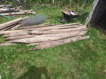 potraux bois