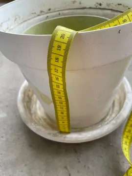 pots pour plantes