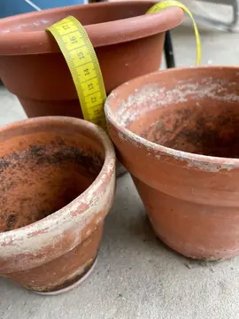 pots pour plantes